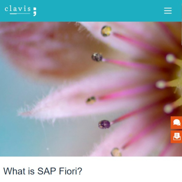 Button Fiori developer website